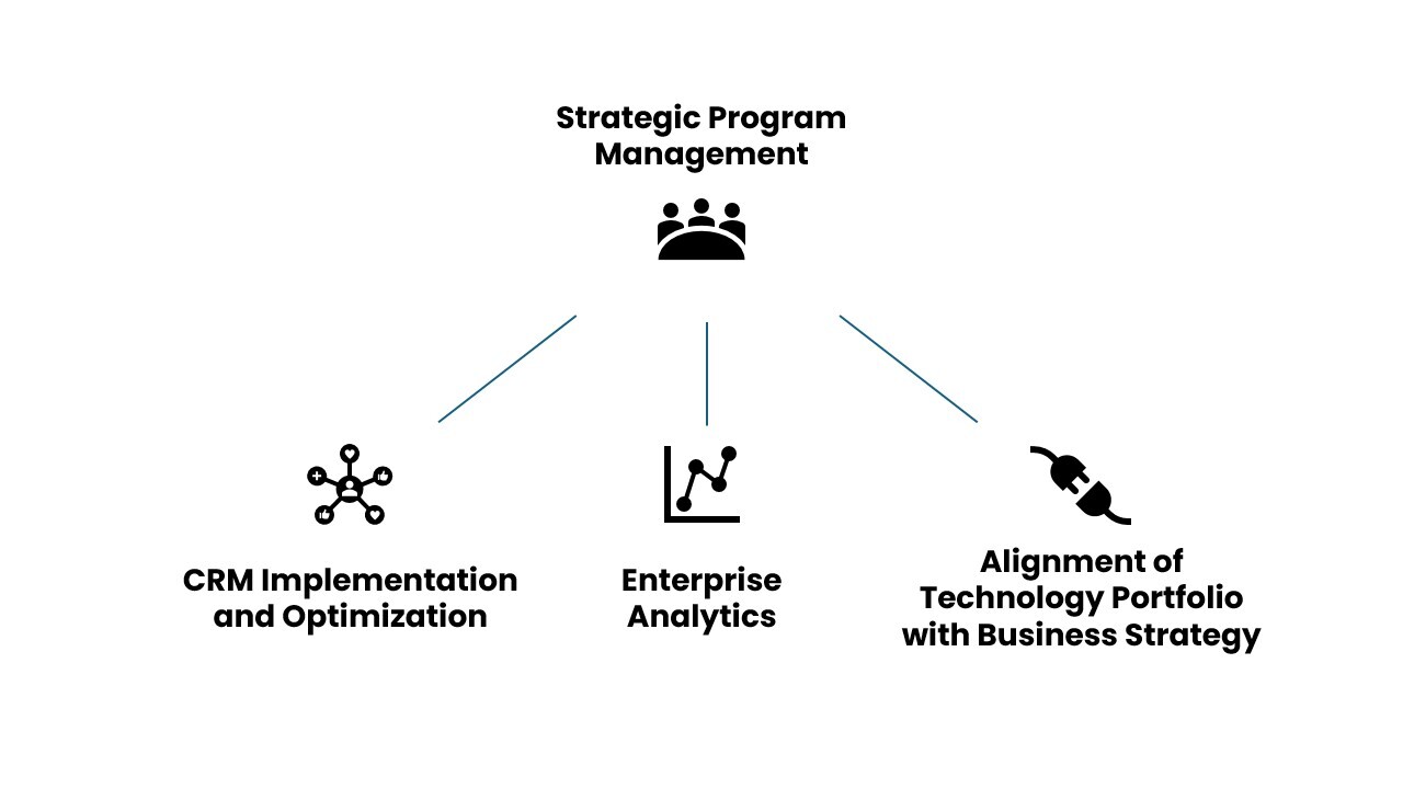 A diagram showing how Program Management acts as an umbrella for domain-specific projects